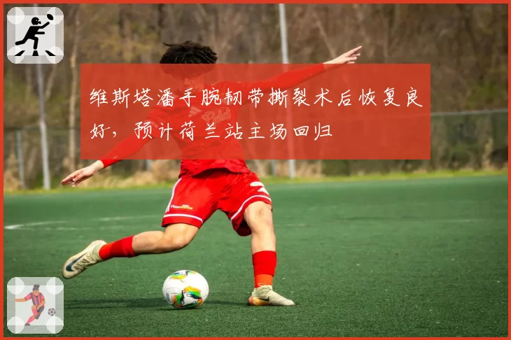 维斯塔潘手腕韧带撕裂术后恢复良好,预计荷兰站主场回归