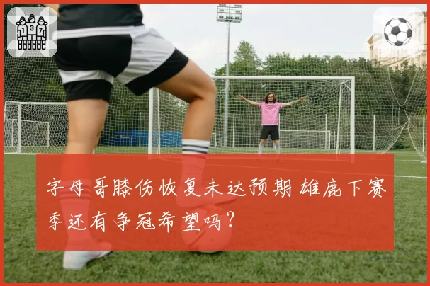 字母哥膝伤恢复未达预期 雄鹿下赛季还有争冠希望吗?