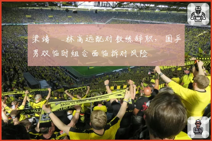 梁靖崑_林高远配对教练辞职,国乒男双临时组合面临拆对风险