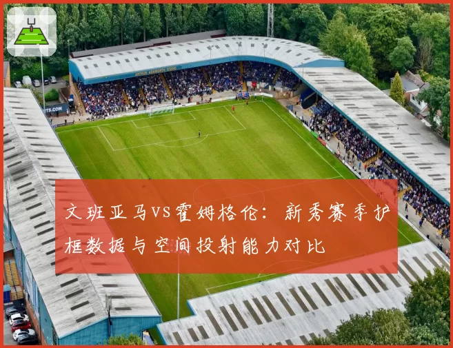 文班亚马vs霍姆格伦：新秀赛季护框数据与空间投射能力对比
