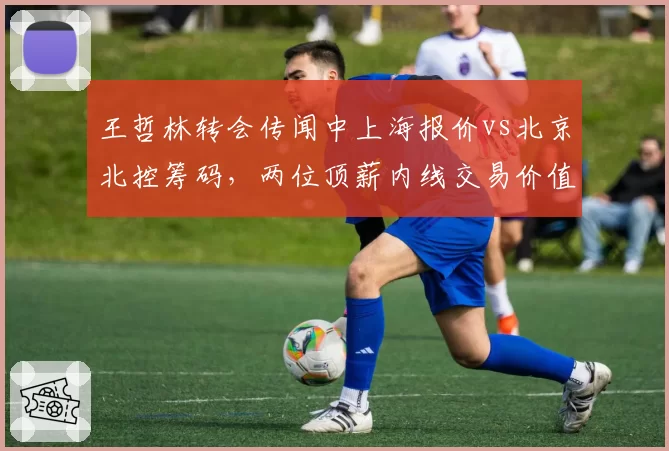 王哲林转会传闻中上海报价vs北京北控筹码，两位顶薪内线交易价值几何？